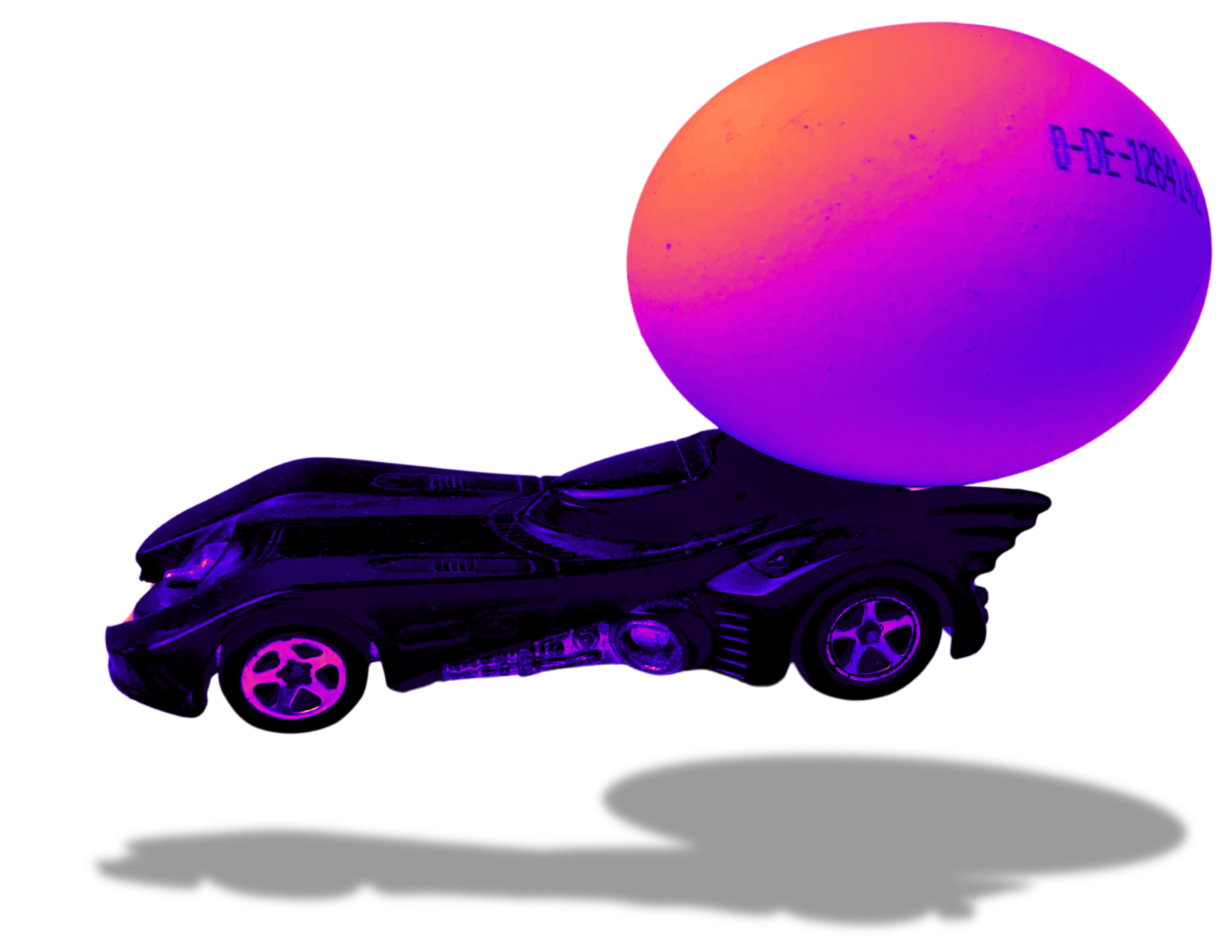 caregg_colored
